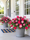 Hanging Hibiscus Artificial Flowers Ð UV Resistant Outdoor Decor faux plants