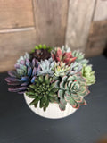 Faux Succulent Arrangement in Ceramic Pot, Artificial Succulent Centerpiece, Modern Table Decor, Housewarming Gift faux plants