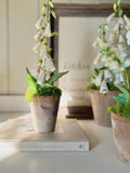 Faux Foxglove In Aged Terracotta Pot With Moss. faux plants