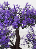 Purple Bonsai Tree | Faux Lavender Plant Decor | Artificial Desk Plant faux plants