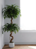 Lifelike 5 Ft Ficus with Curved Trunk Pot | realistic artificial tree | indoor living room decor | white planter included | no watering faux plants