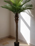 Tall Artificial Coconut Palm Tree 180 cm | lifelike fake plant | indoor floor potted | home office decor | low maintenance greenery faux plants