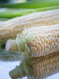 SAVE on a Multi-Pack (3) of Open Pollinated Sweet Corn Varieties for the Entire Garden Season seeds bulk