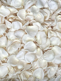 Rose Petals, Ivory, REAL freeze dried rose petals, All Natural and Biodegradable, Perfectly Preserved in the USA wedding flower
