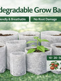 Biodegradable Grow Bags for Seed Starting | Eco Nonwoven Planters (10-50 Pack) seeds bulk