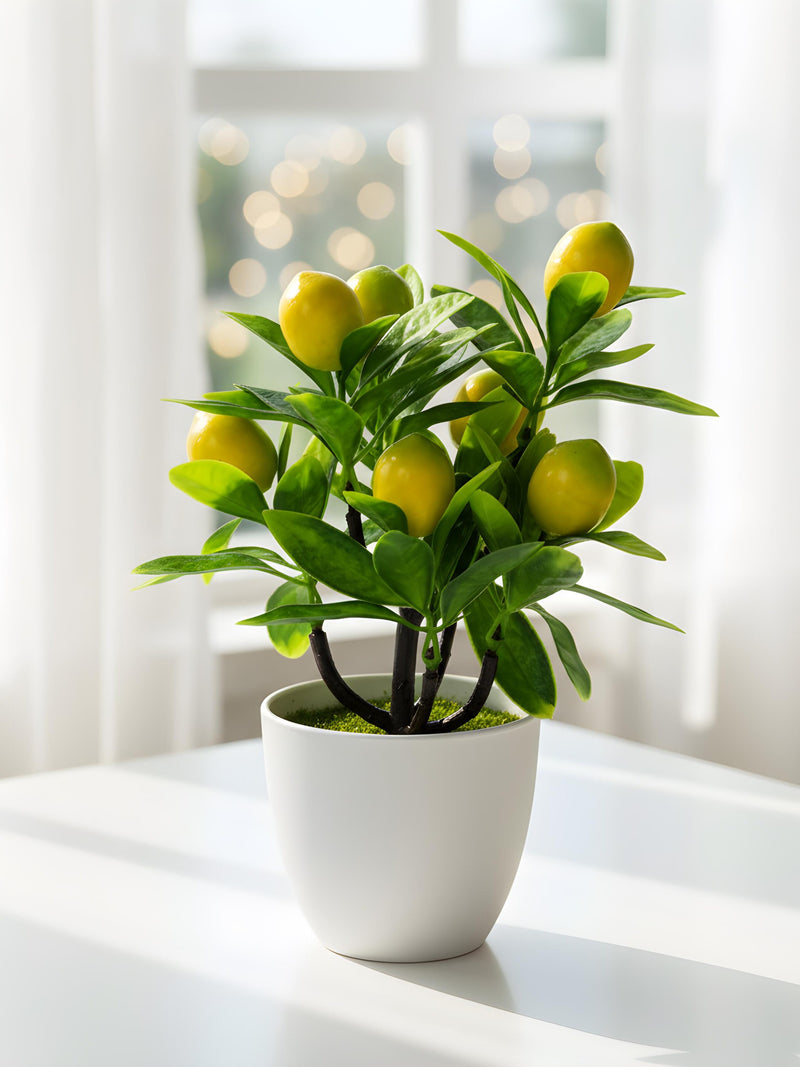 Artificial Lemon Tree in Pot ¥ 24cm Small Faux Citrus Plant ¥ Realistic Mediterranean Home Decor ¥ Farmhouse Kitchen & Tiered Tray Accessory faux plants