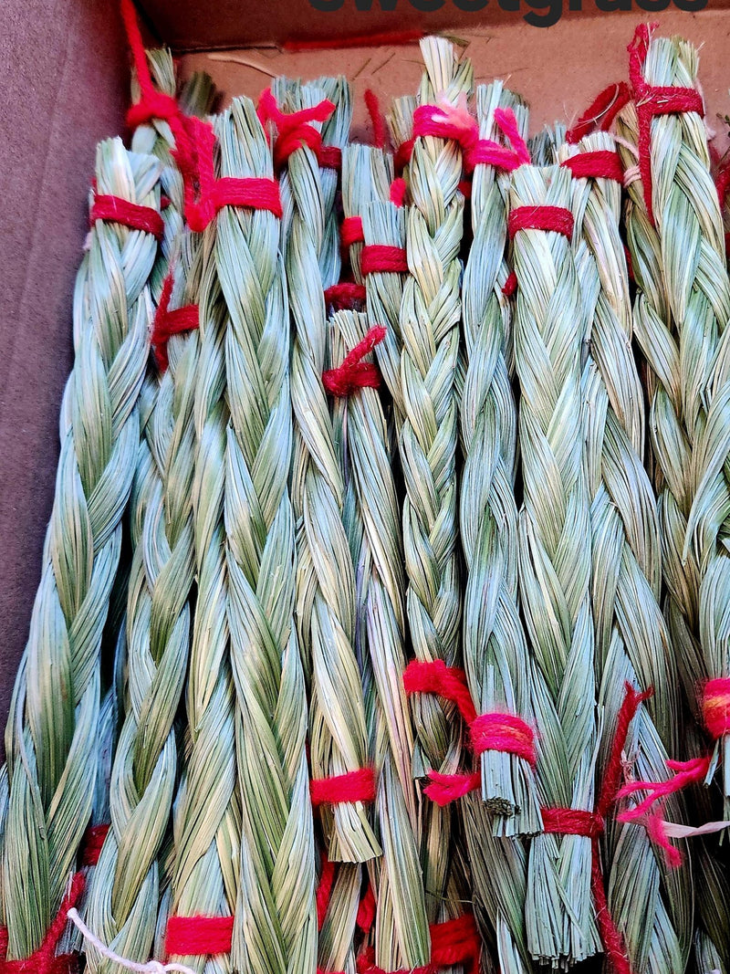 Green Sweetgrass Braids         up to 36 inches .Pick your length. Hierochloe odorataÊ,Buffalo Grass, wekusk seeds bulk