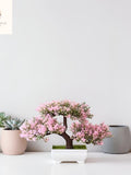 Artificial Bonsai Tree | Realistic Pink Blossoms | Plastic Potted Bonsai Tree Plant (25cmx18cm) | Realistic Tree faux plants