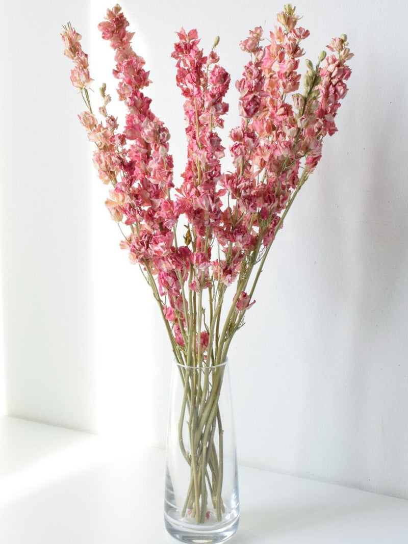 Natural Dried Pink Floral Stems: Home & Wedding Decor FLOWER DELIVERY