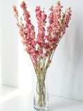 Natural Dried Pink Floral Stems: Home & Wedding Decor FLOWER DELIVERY