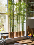 Artificial Bamboo Plant 39Ó Ð Faux Floor Plant with Pot faux plants