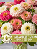 Strawberry Cream Zinnia Seeds | 100+ Seeds, Heirloom Flower Mix for Pollinator Gardens & Bouquets! flower seeds