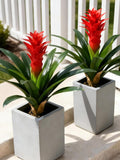 2PCS Artificial Bromeliad Flowers, UV Resistant Faux Plants for Outdoor & Indoor Decor faux plants