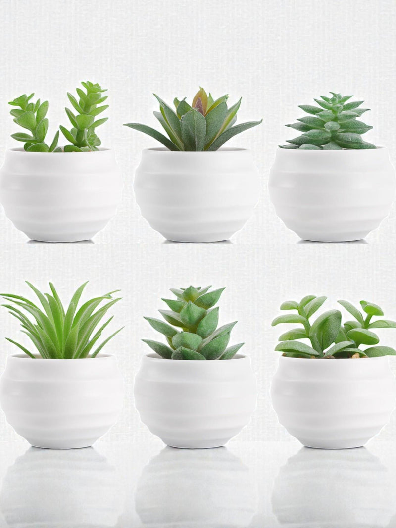 Set of 6 Artificial Succulents, Mini Faux Plants, White Pots, Desk Decor faux plants