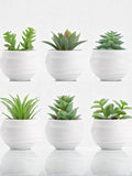 Set of 6 Artificial Succulents, Mini Faux Plants, White Pots, Desk Decor faux plants