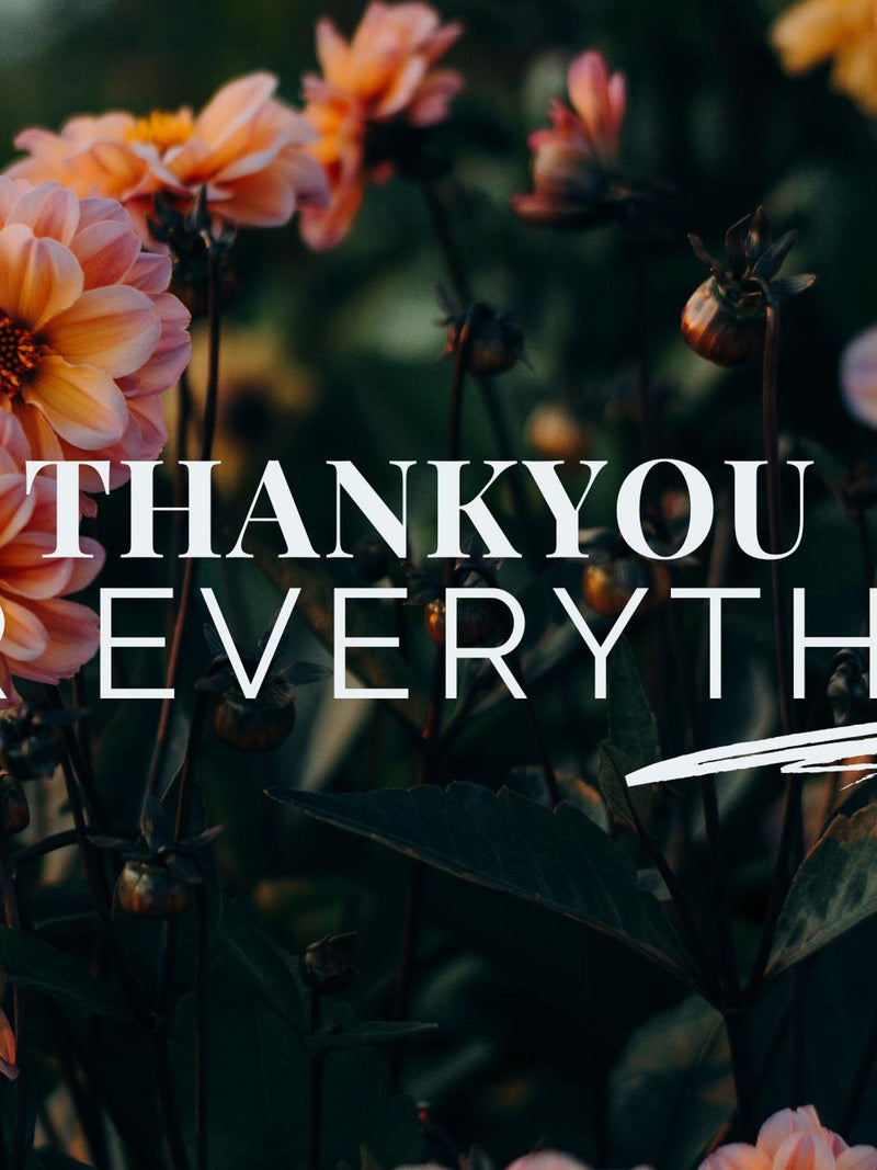 Thankyou for everything Love Romance Flower