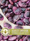 Scarlet Emperor Runner Bean Seeds | 15+ Seeds, Heirloom, Edible Flowers, Hummingbird Garden, Phaseolus coccineus flower seeds