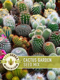 Cactus Garden Seed Mix | 50+ Seeds, Saguaro, Prickly Pear, Hedgehog, Santa Rita, Desert, Cactaceae seeds bulk