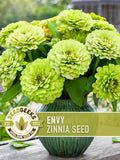 Envy Lime Green Zinnia Seed | 100+ Seeds, Heirloom Annual Flower, Butterfly Gardens, Cut Flowers, Zinnia elegans flower seeds