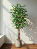 Artificial Ficus Tree with Curved Trunk, Realistic Silk Indoor Plant, Fake Tree in Pot, Office & Home Decor, Low Maintenance Greenery faux plants