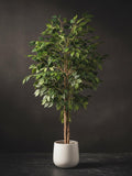 Artificial Potted Tree with Realistic Green Foliage for Indoor Home Decor and Office Spaces faux plants