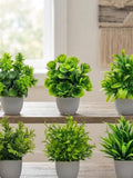 Artificial Potted Plant Fake Greenery in Plastic Pot Small Desk Plant for Home Office Bedroom Living Room Decor faux plants