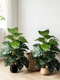 Artificial Monstera Plant | Realistic Faux Houseplant | Modern Home Decor | 60/75cm Tall Faux Tropical Decor Artificial Plant faux plants