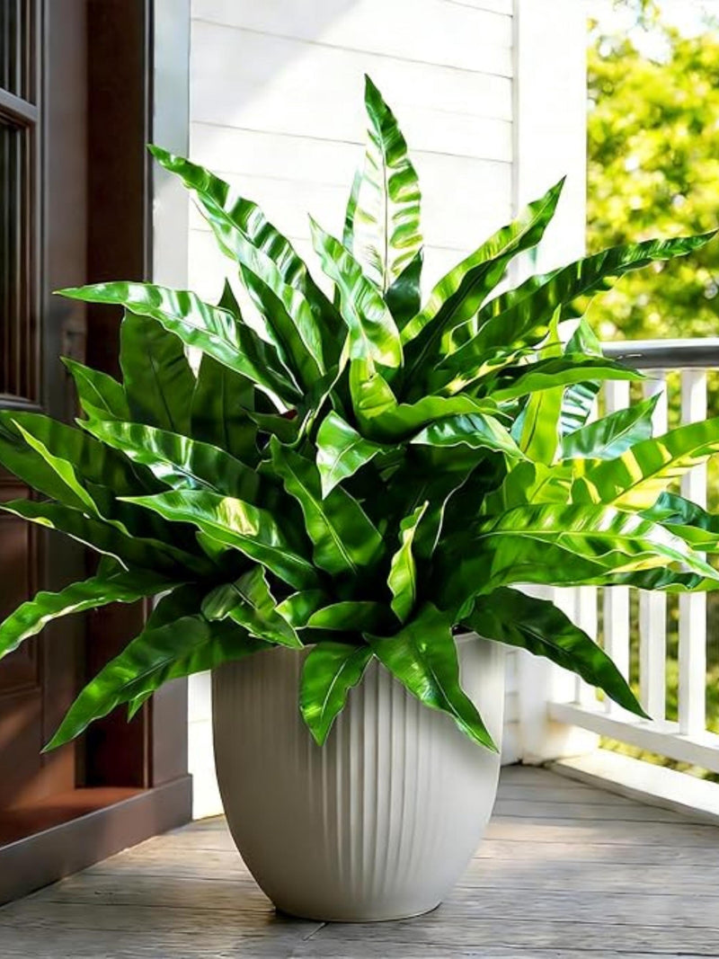 Fake Ferns UV Resistant Outdoor Plants | Real Touch Artificial Greenery for Home Garden Decor faux plants