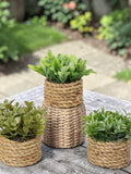 3 Mini Fake Plant , Desktop Decor, Plastic Leaf, Low Maintenance Tabletop Plant faux plants