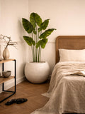 Modern White Stone Planter with Artificial Elephant Ear Plant Indoor Decor faux plants