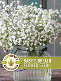 Baby's Breath Flower Seeds, Gypsophila Elegans, White Bouquet Filler flower seeds