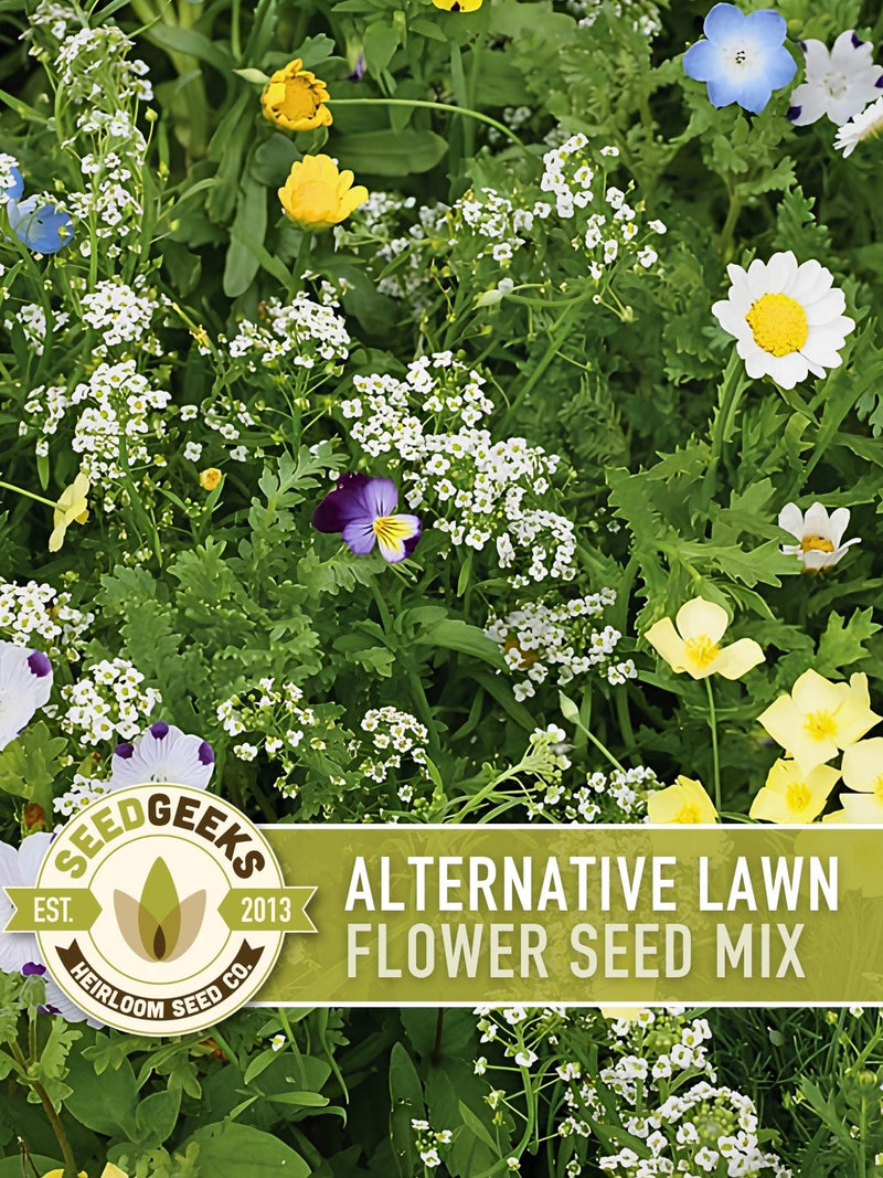 BULK - 8oz - Alternative Lawn Heirloom Seed Mix seeds bulk