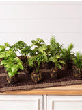 Faux Herb Plants Set, Cottage Kitchen Decor, Artificial Herbs in Soil, Farmhouse Greenery, Mini Potted Herbs, Kitchen Counter Decor faux plants