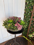 Faux succulent planter , round tabletop succulent arrangement, potted faux plant, container gardens, faux succulents faux plants