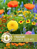 Fragrant Flower Seed Mix Ð Aromatic Sensory Garden, Non GMO flower seeds