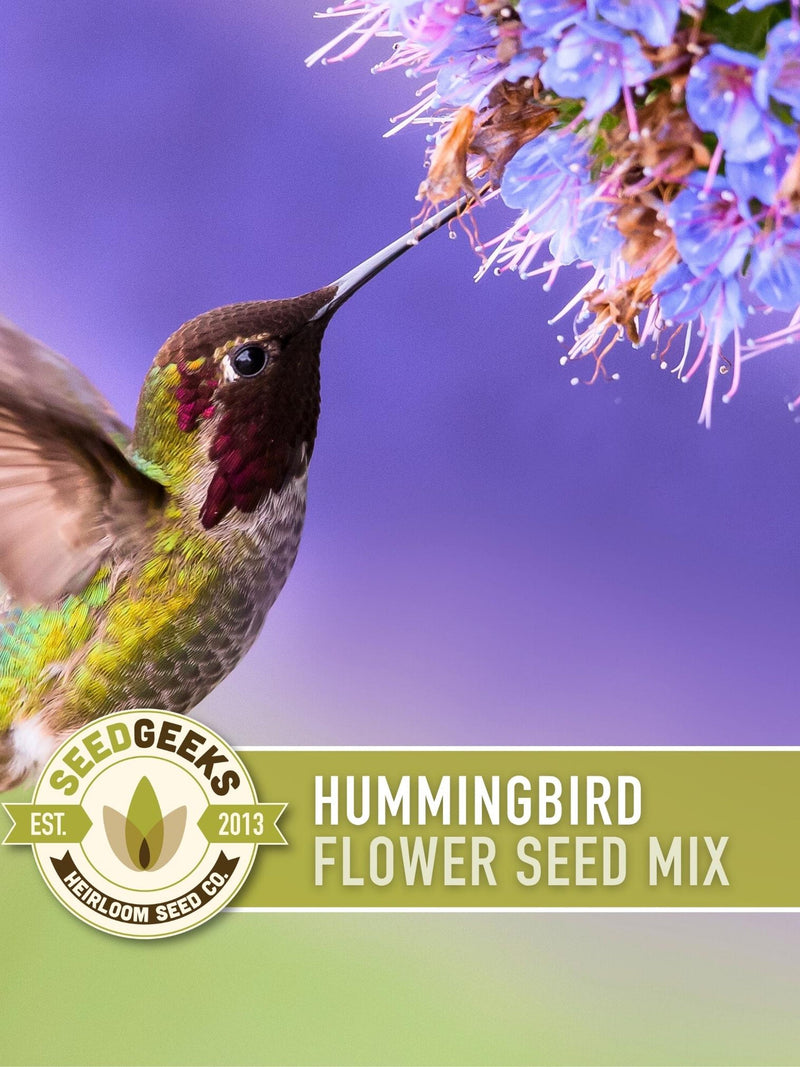Hummingbird Garden Flower Seed Mix, Native Heirloom Seeds flower seeds