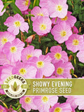 Showy Evening Primrose Flower Seeds Ð Heirloom Pink Wildflower, Fragrant Bloom flower seeds