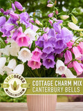 Canterbury Bells Cottage Charm Mix Seeds | 100+ Seeds, Organic Heirloom, Bellflower, Pollinator-Friendly, Campanula Medium flower seeds
