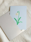 Flower- Quilling card, Birthday Card, Pretty Birthday Card, Mother's Day Gift, Gift for Her, January Birth Flower, Snowdrop ANNIVERSARY