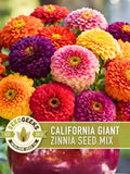 California Giant Zinnia Seed Mix | 100+ Seeds, Heirloom Flowers, Butterfly Garden, Zinnia elegans flower seeds