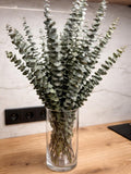 Preserved Eucalyptus Stems Ð Soft Blue-Green Baby Blue Wedding Greenery FLOWER DELIVERY