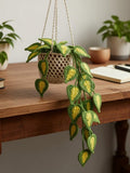 Handmade Crochet Hanging Plant Decor, Variegated Faux Leaf Planter, Boho Greenery Wall Accent faux plants