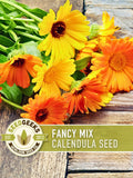 Calendula Fancy Mix Seed | 50+ Seeds, Heirloom Flower, Non-GMO, Cool-Weather Annual, Calendula officinalis flower seeds