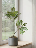Artificial Ficus Tree Branch, Realistic Tropical Plant, (No Pot) faux plants