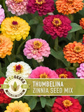 Thumbelina Zinnia Seed | 100+ Seeds, Dwarf Heirloom Flower Mix, Butterfly & Pollinator Garden, Zinnia elegans flower seeds