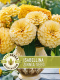 Isabellina Zinnia Seed | 100+ Seeds, Heirloom, Butter Yellow Flowers, Pollinators, Zinnia elegans flower seeds