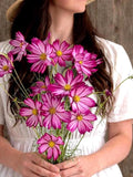 15 Cosmos Seeds - Cosimo  Ð Purple Red White Striped | Early & Long Blooming | Open Pollinated flower spore