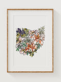 OHIO Wildflowers Fine Art Print | Botanical Map | State Floral Home Decor | Canvas or Giclee Framed Wall Art house warming flower