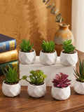 Artificial Succulent Bonsai Plants Ð Mini Faux Cactus Evergreen Home Decor faux plants