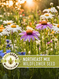 Northeast Wildflower Seed Mix Ð 100+ Heirloom, Native Flowers seeds bulk